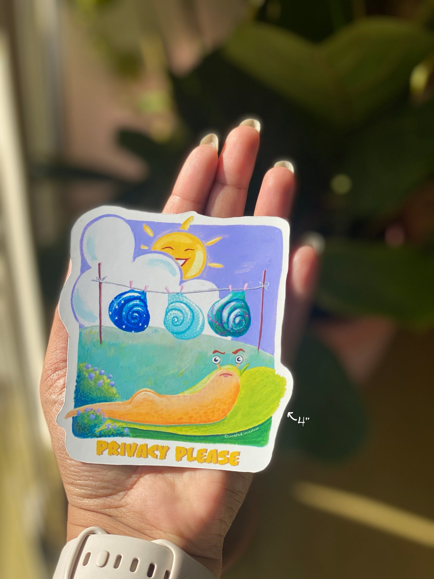 Privacy Please Vinyl sticker, Cute and Funny decal, Funny Snail sticker