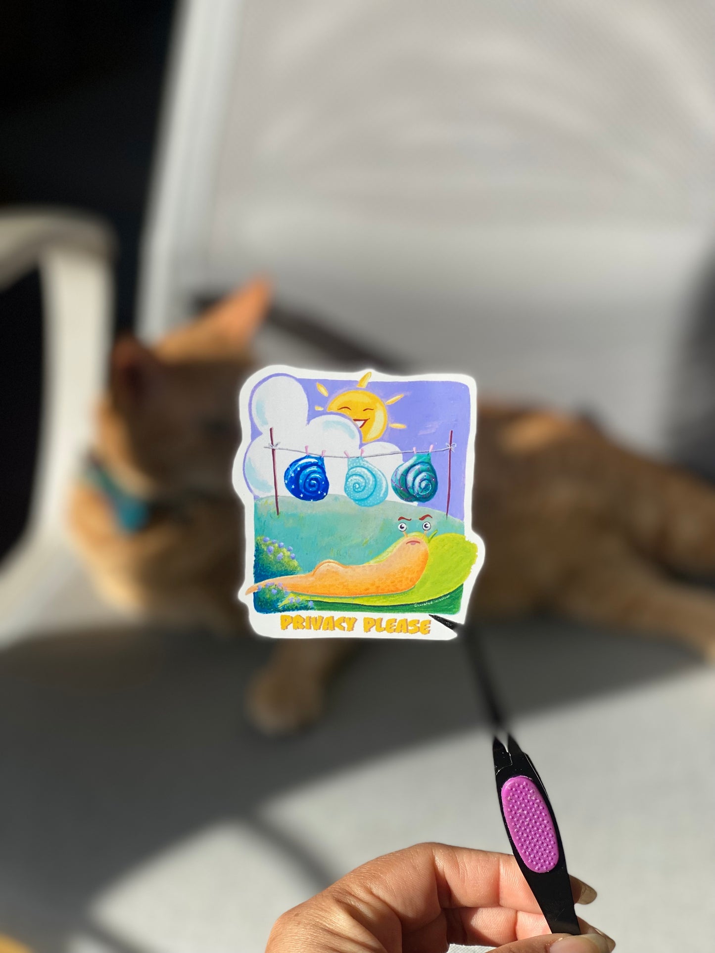 Privacy Please Vinyl sticker, Cute and Funny decal, Funny Snail sticker