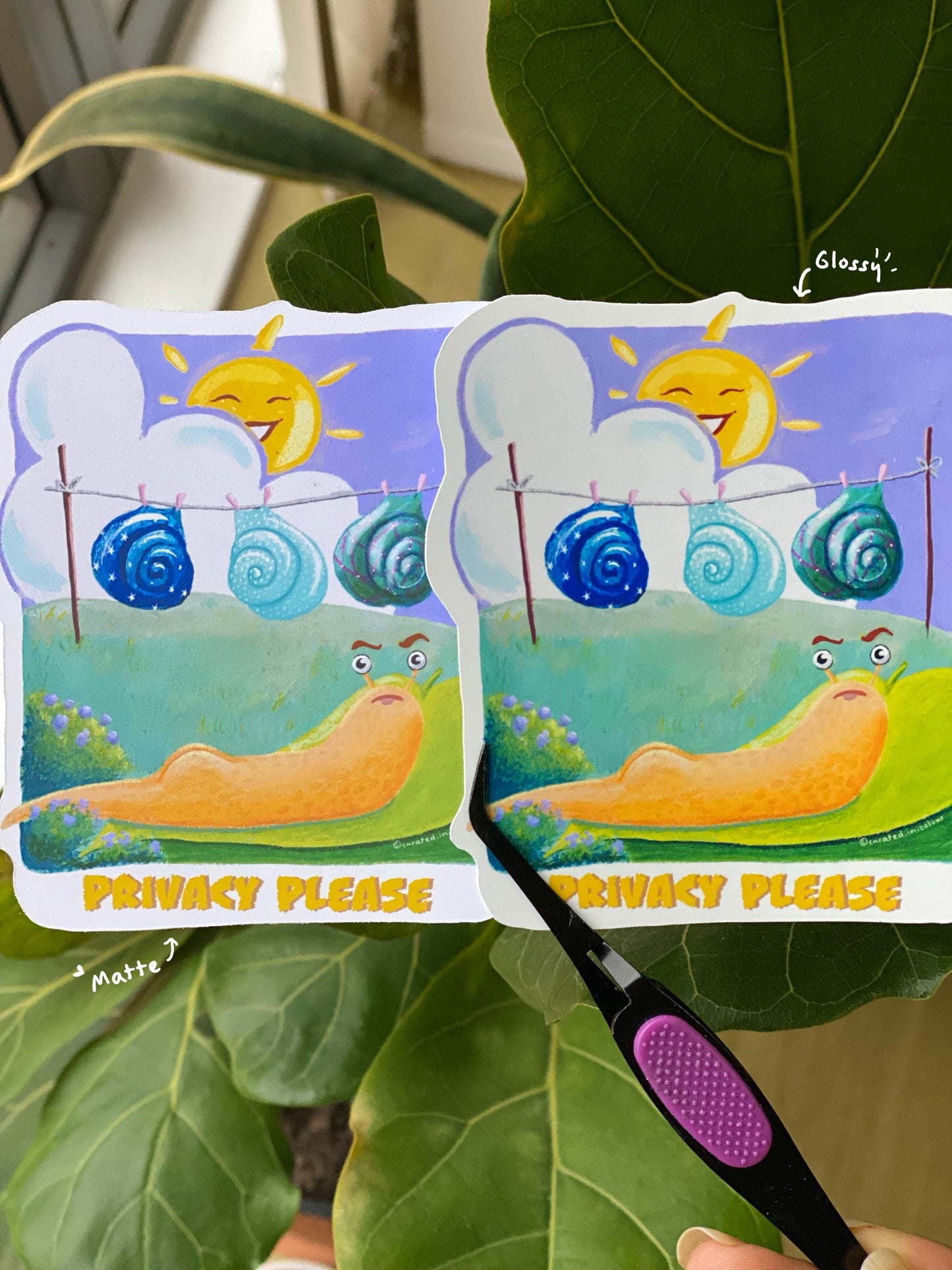 Privacy Please Vinyl sticker, Cute and Funny decal, Funny Snail sticker