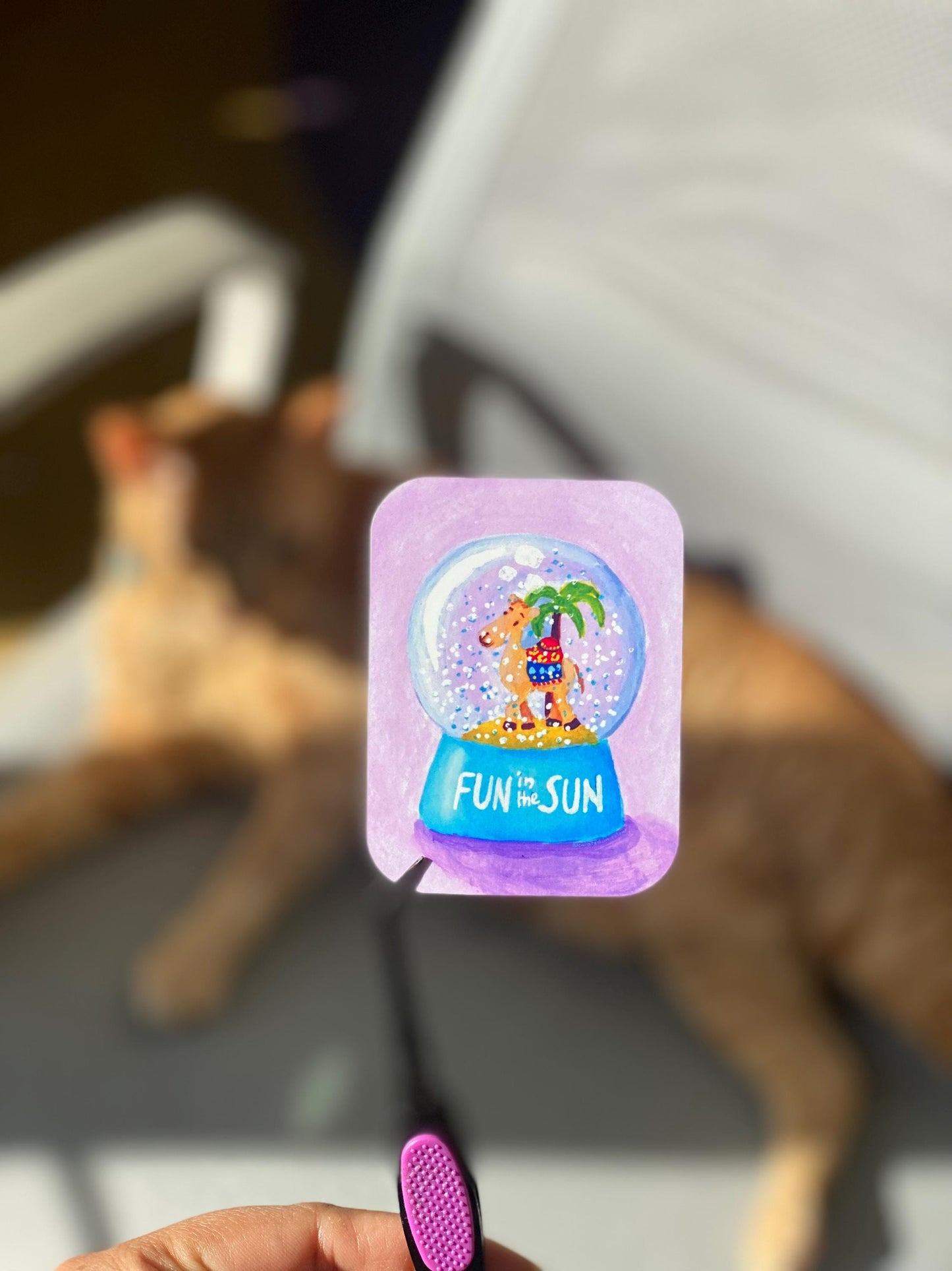 Fun in the Sun Snowglobe Vinyl Sticker, Whimsical Summer Desert Theme Decal, Camel Snowglobe sticker