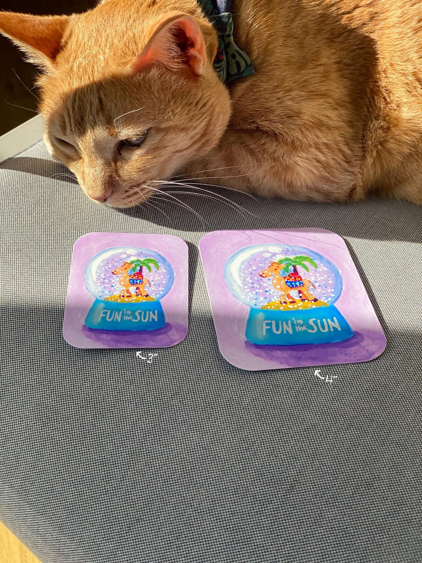 Fun in the Sun Snowglobe Vinyl Sticker, Whimsical Summer Desert Theme Decal, Camel Snowglobe sticker