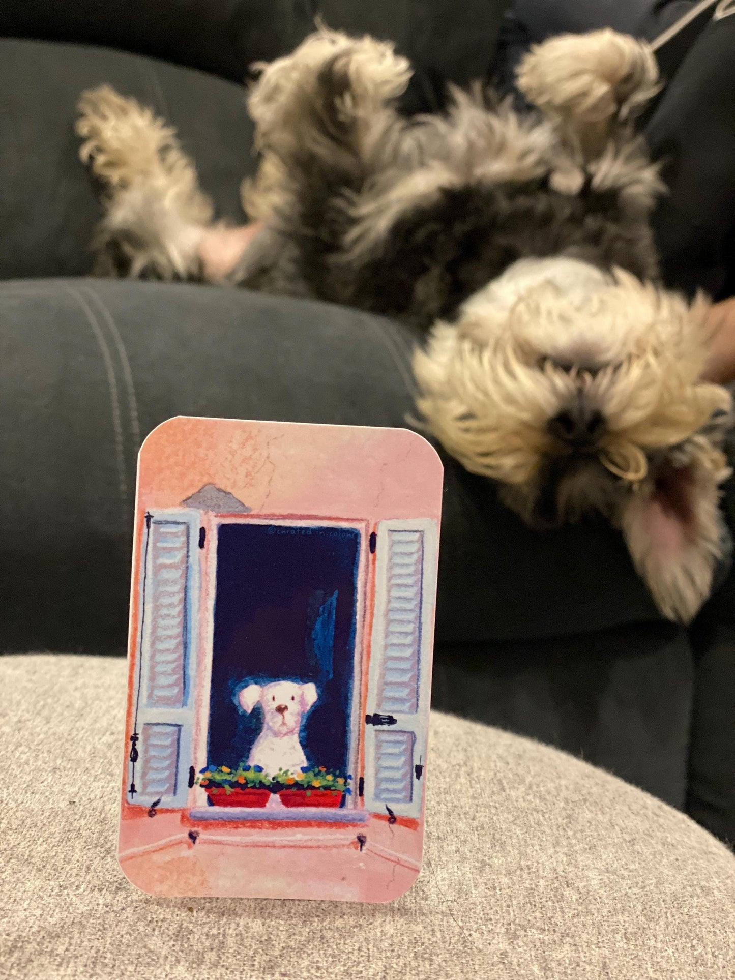 Puppy in the Window Vinyl Die-Cut Sticker, Adorably Cute Sticker, Puppy Sticker, Cute Window Sticker