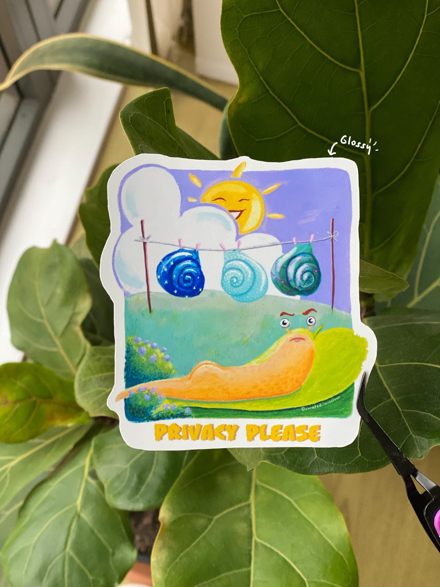 Privacy Please Vinyl sticker, Cute and Funny decal, Funny Snail sticker