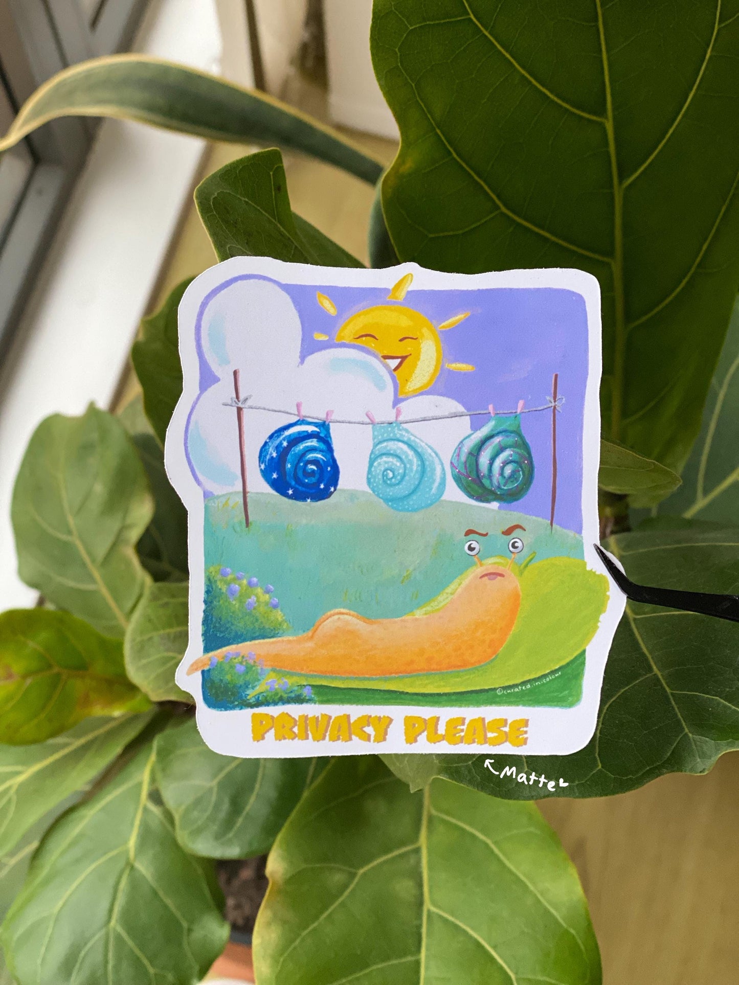 Privacy Please Vinyl sticker, Cute and Funny decal, Funny Snail sticker