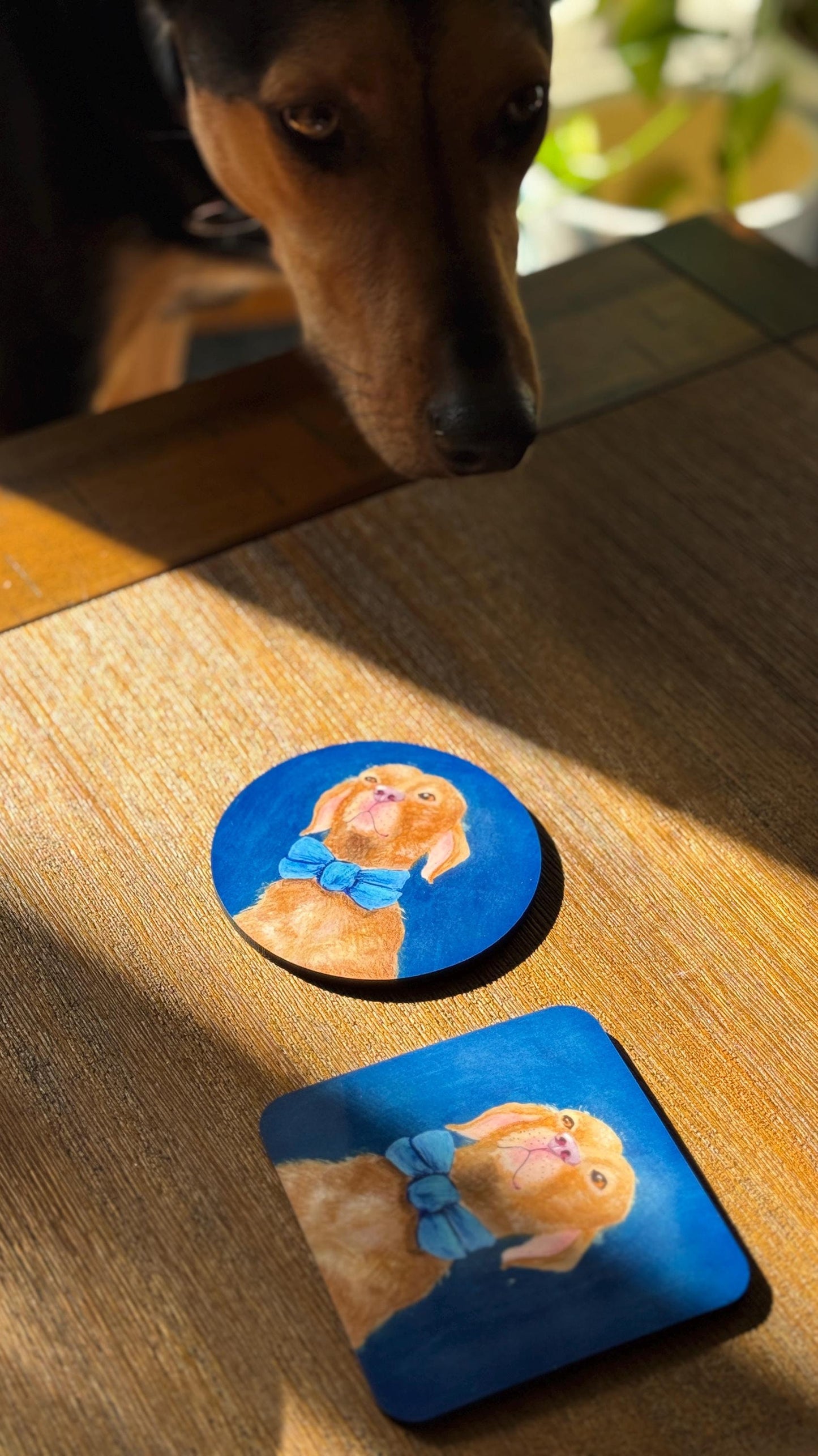 Mix & Match | Pack of 3 | MDF Coasters | Build your own Bundle (BYOB)