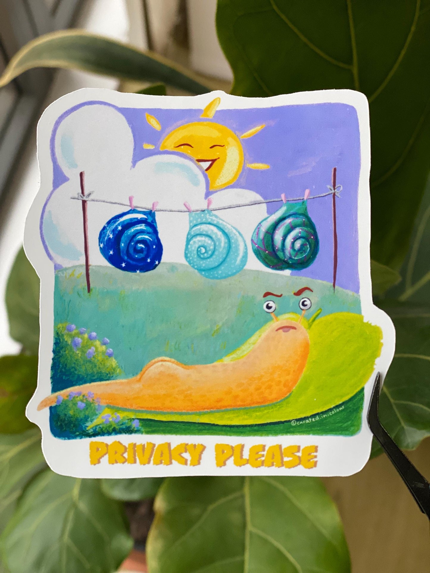 Privacy Please Vinyl sticker, Cute and Funny decal, Funny Snail sticker