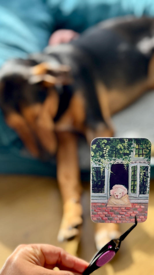 Sleepy Fidel by the window sticker, Bruges Puppy sticker, Adorably cute puppy sticker